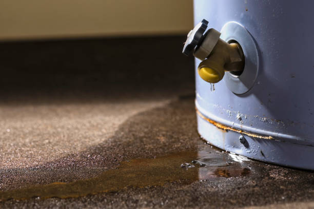 Best Water damage restoration process  in Purdy, MO