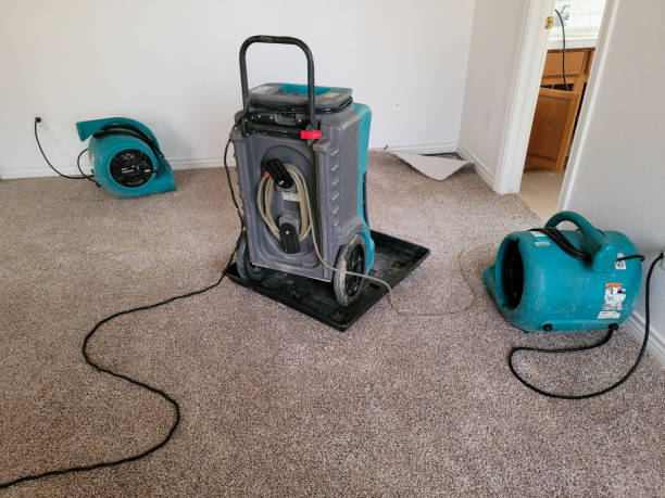 Best Flood restoration services  in Purdy, MO