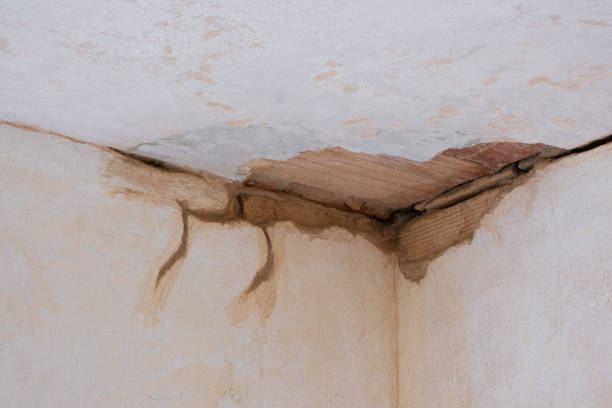 Best Water damage restoration specialists  in Purdy, MO