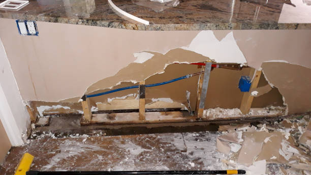 Best Local water damage restoration  in Purdy, MO