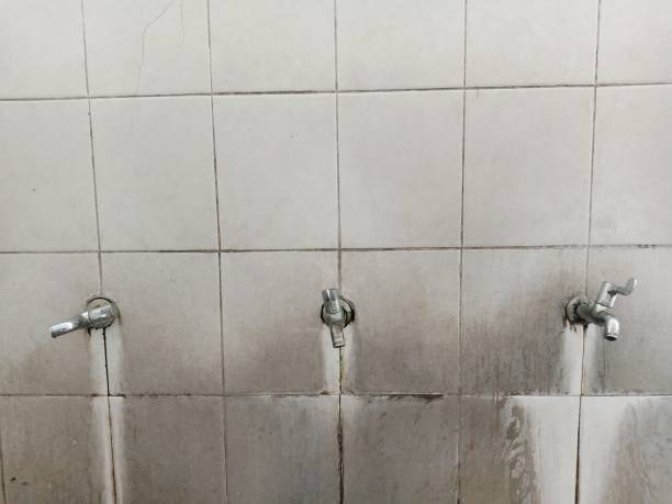 Best Water damage contractors near me  in Purdy, MO