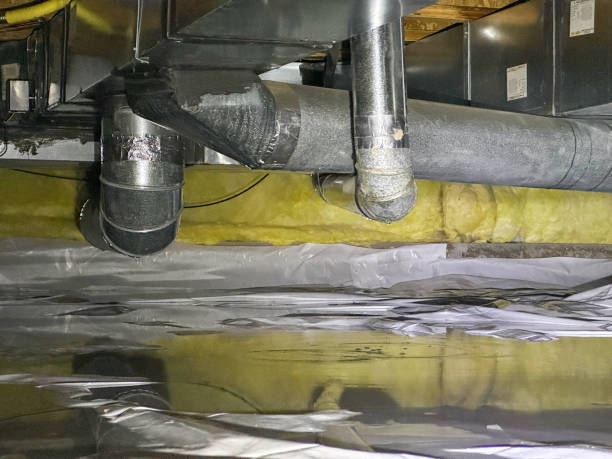 Best Water damage cleanup near me  in Purdy, MO