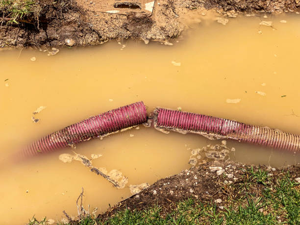 Reliable Purdy, MO Water damage restoration Solutions